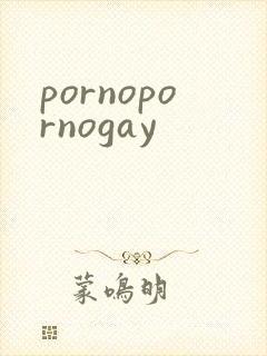 pornopornogay