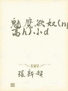 魅魔欲奴(np高h)小d