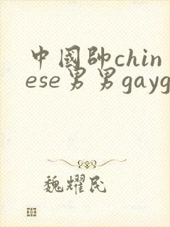 中国帅chinese男男gaygay网站