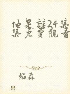 他是谁24集全集免费观看封面