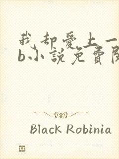 我却爱上一个sb小说免费阅读无弹窗