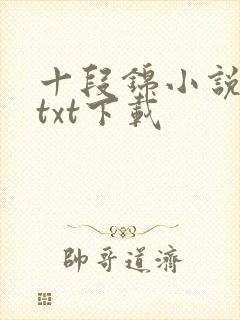 十段锦小说全本txt下载