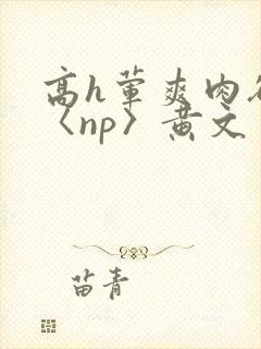 高h荤爽肉欲文〈np〉黄文