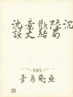 沈意欢陆沉舟小说大结局