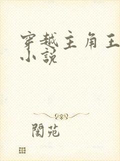 穿越主角王渊的小说