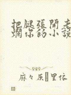 把腿张开老子臊烂你的小说封面