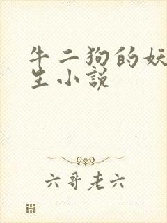 牛二狗的妖孽人生小说