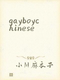 gayboychinese