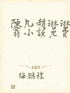 陈凡赵琳琳主人翁小说免费阅读封面