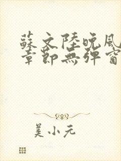 苏文陆晚风最新章节无弹窗笔趣阁