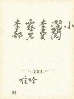 李霖李澜小说全部免费阅封面