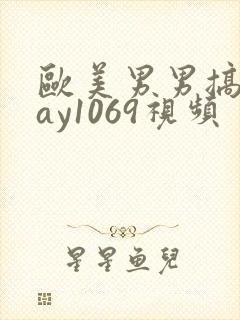 欧美男男搞基gay1069视频