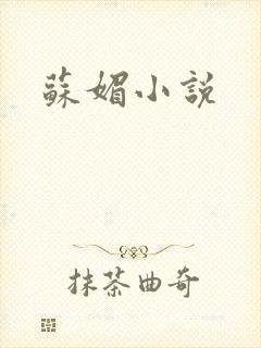 苏媚小说