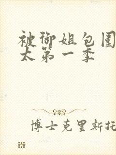 被御姐包围的正太第一季