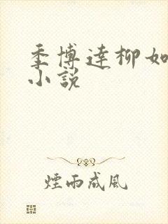 季博达柳如烟的小说