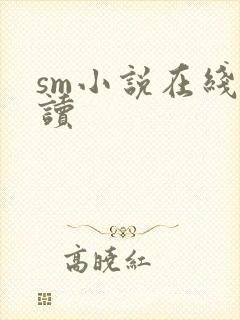 sm小说在线阅读封面