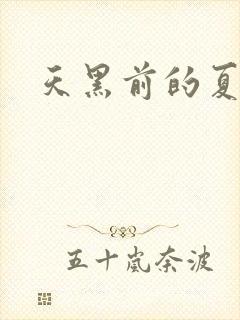 天黑前的夏天封面