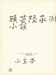 顾芒陆承洲免费小说封面