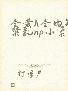全黄h全肉短篇禁乱np小柔