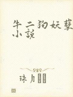 牛二狗妖孽人生小说封面