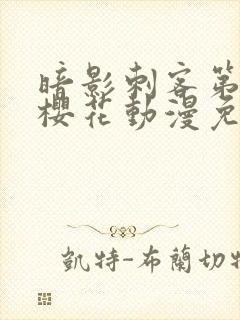 暗影刺客第4季樱花动漫免费观看