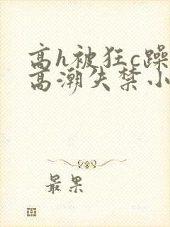 高h被狂c躁到高潮失禁小说封面