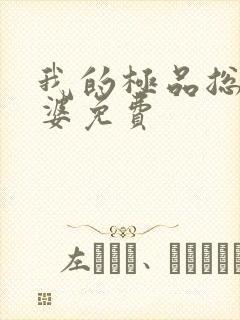 我的极品总裁老婆免费