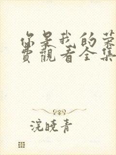 你是我的荣耀免费观看全集高清封面