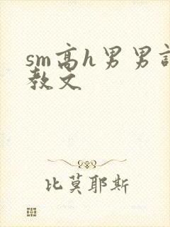 sm高h男男调教文