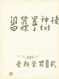 囚禁男神后我被白嫖了txt