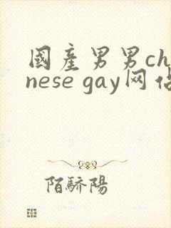 国产男男chinese gay网站