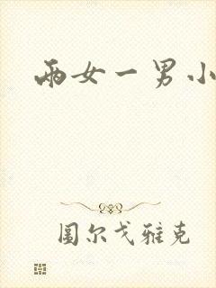两女一男小说