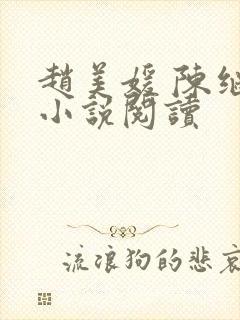 赵美媛 陈继来小说阅读
