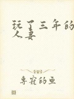 玩了三年的极品人妻