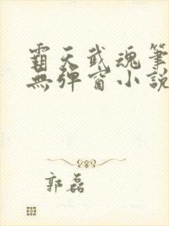 霸天武魂笔趣阁无弹窗小说封面
