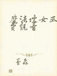 魔法坏女巫2免费观看