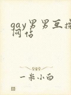 gay男男互操网站