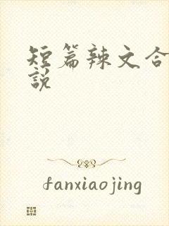 短篇辣文合集小说