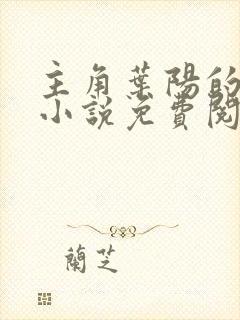 主角叶阳的官场小说免费阅读