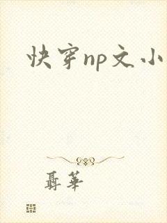 快穿np文小说封面