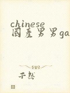 chinese国产男男gaygay网站