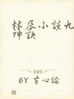 林辰小说九天斩神诀