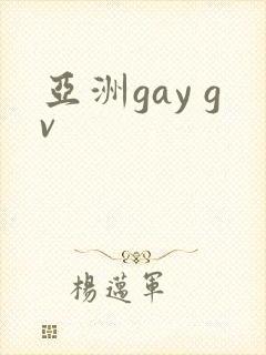 亚洲gay gv
