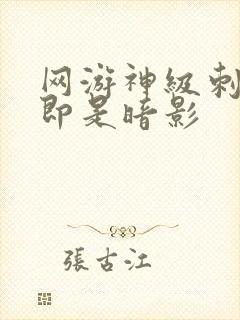 网游神级刺客我即是暗影