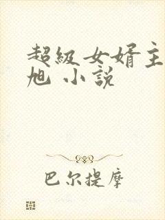 超级女婿主角赵旭 小说