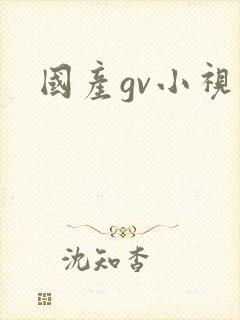 国产gv小视频封面