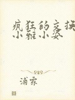 疯狂的交换小静小雅小姿