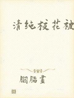 清纯校花被c封面