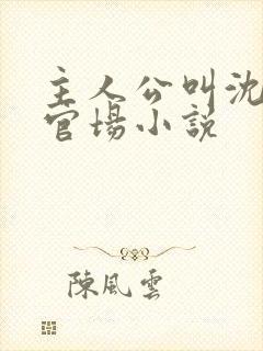 主人公叫沈荡的官场小说