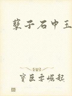 孽子石中玉